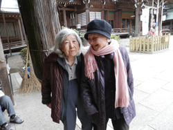 初詣（お正月は大麻彦神社）