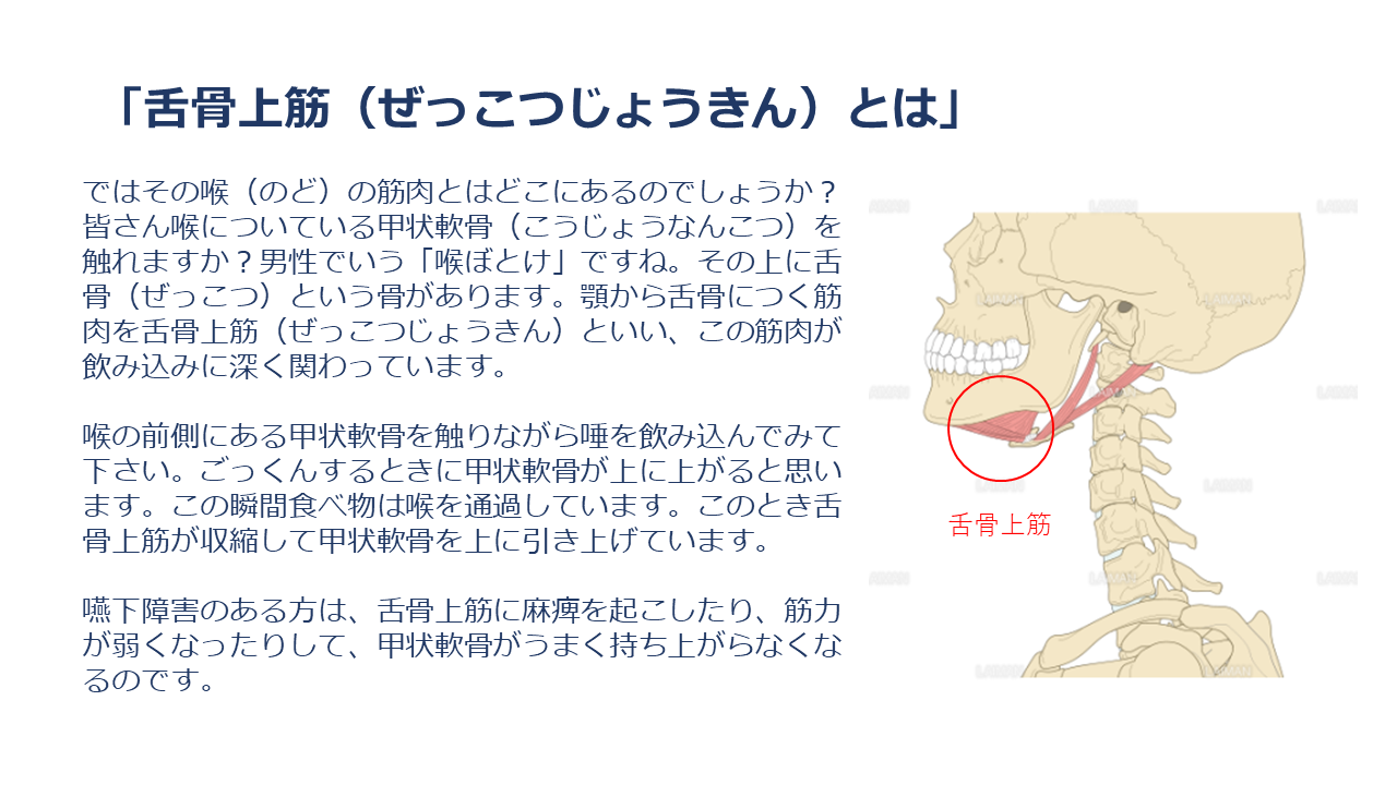 稲次病院 摂食嚥下 リハビリテーション