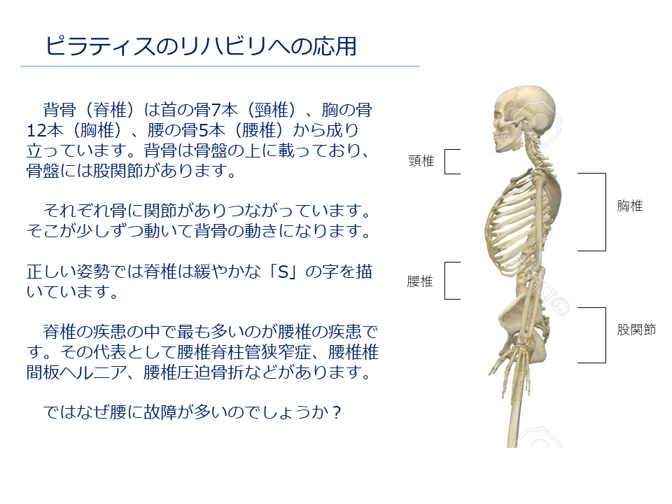 ピラティスのリハビリへの応用