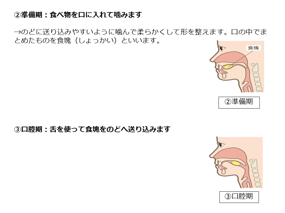 稲次病院 摂食嚥下 リハビリテーション