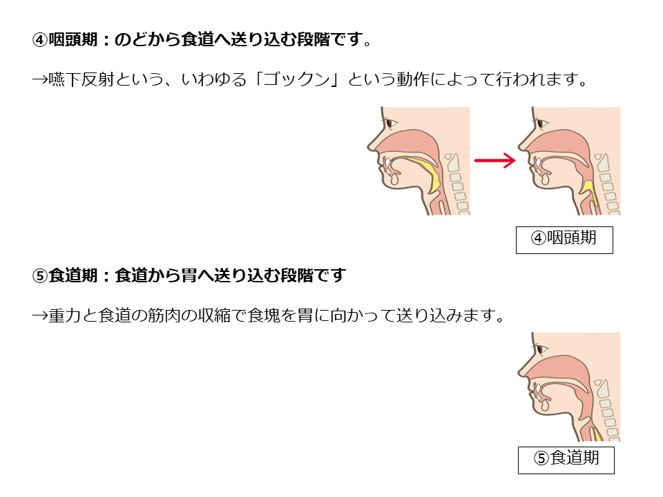 稲次病院 摂食嚥下 リハビリテーション